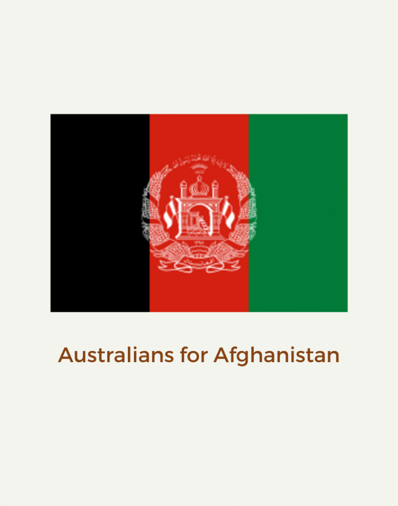 With the horrific situation in Afghanistan and the inadequate response from our leaders it's time we step up and demand action. We've outlined how you can help in this blog.